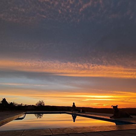 The Wild Edge Last Light Cottage Knysna Bagian luar foto